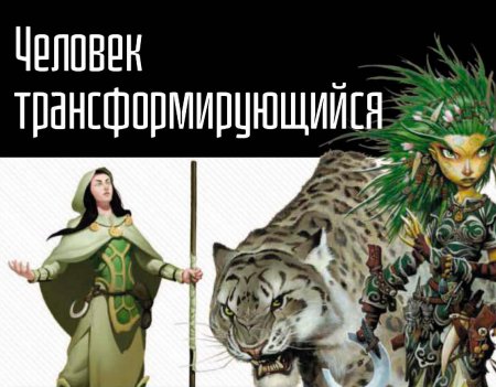 Друид aka человек трансформирующий