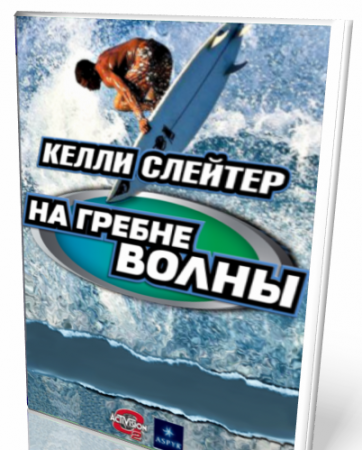 Схожесть игр Kelly Slater's Pro Surfer и Tony Hawk's Pro Skater