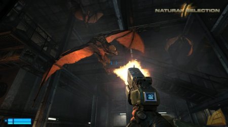 Natural Selection 2