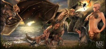 Геймплей MMORPG игры Wish