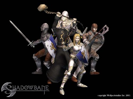 Особенности игры Shadowbane